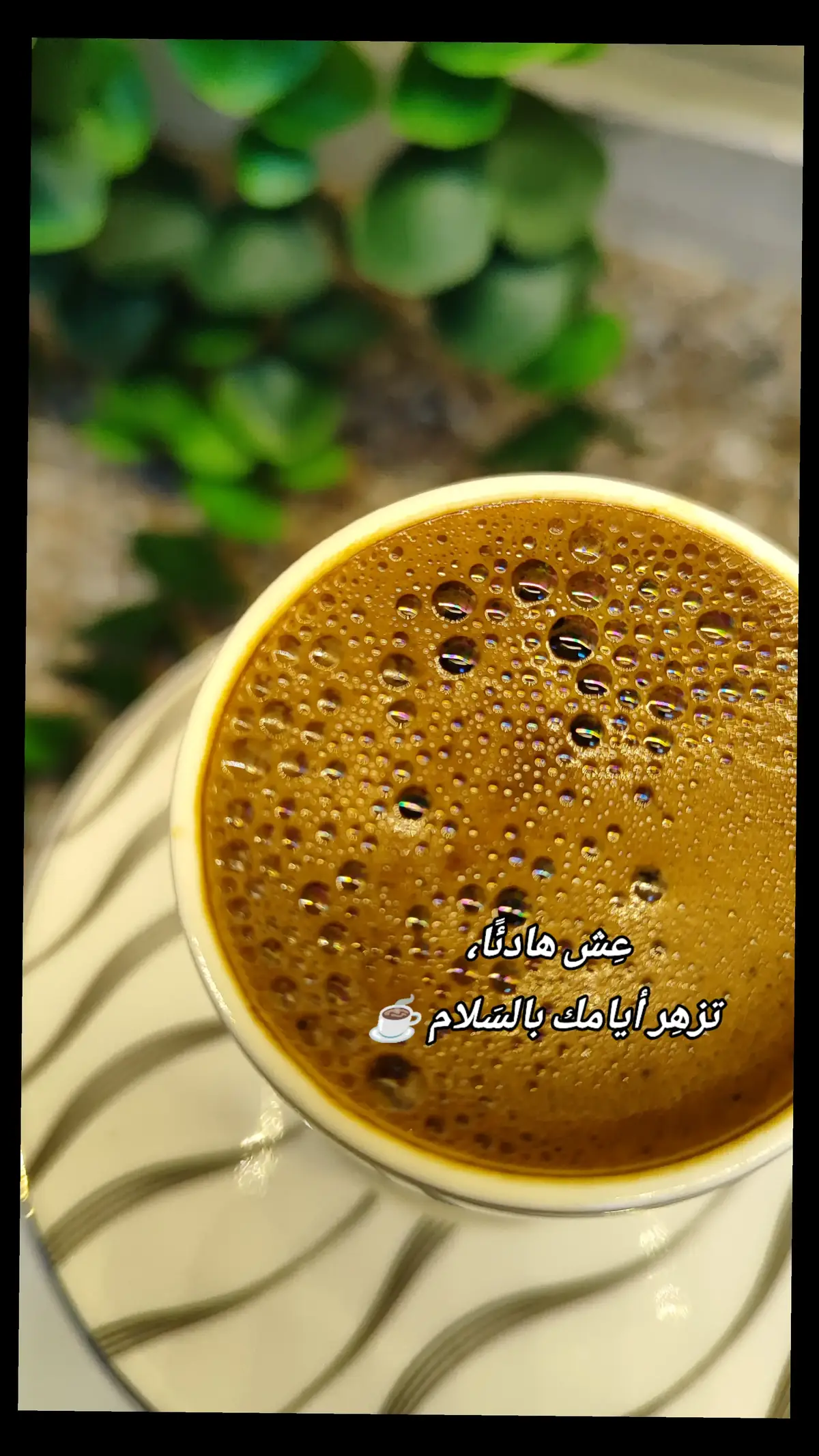 #صباح_الخير #قهوة_الصباح #يسعدلي_صباحكم #قهوةبالحب☕♥️ #صنعت_بحب #❤️ #اجواء_الشتاء #اجواء_خيالية #رواقي_جوي_تصويري_تصميمي👌🏻🌸 #صباحكم_سعادهـ🌸🍃 