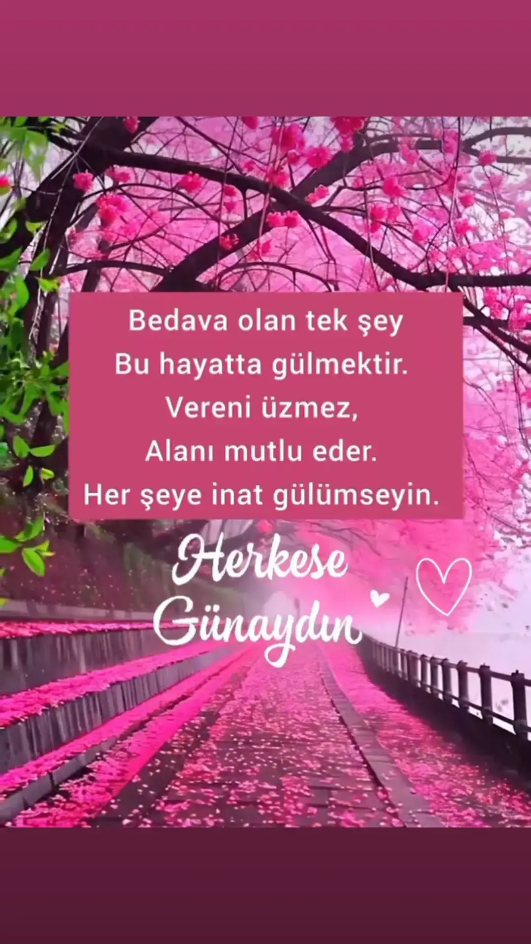 Bolca gülümseyin.. 🤗#günaydın_hayırlı_sabahlar 