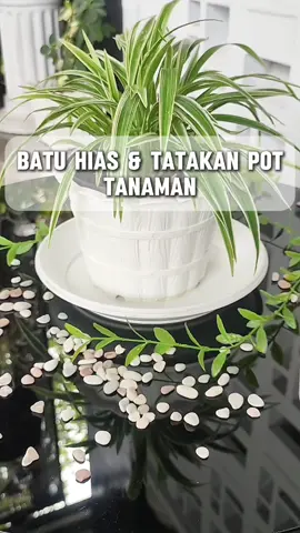 percantik meja terasmu dengan batu hias & tatakan pada pot tanamanmu 🫰🏻 dijamin bikin betah nongkrong di teras rumah sendiri #batuhias #tatakanpot 