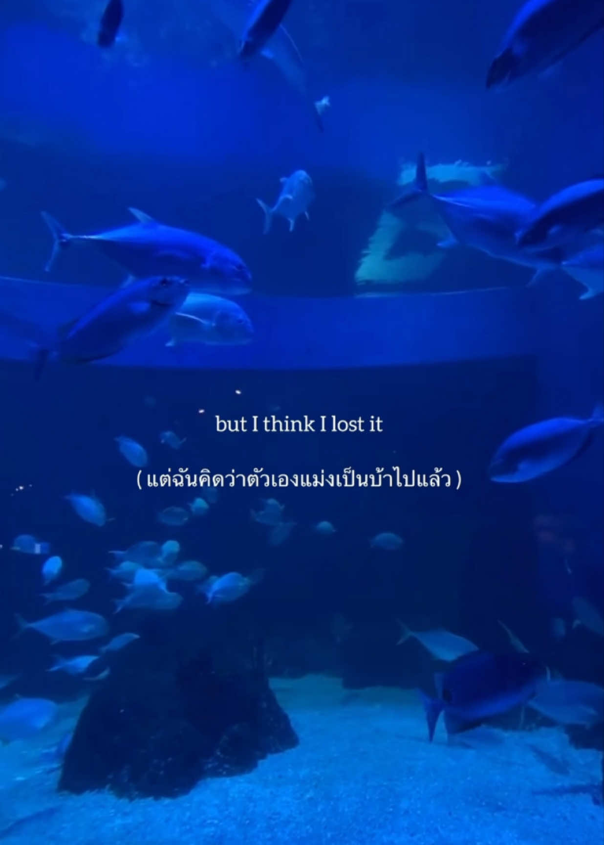 -That so true | Gracie Abrams #เธรด #เธรดเพลง #แปลเพลง #แปลเพลงฮิต #แปลเพลงสากล #เพลง #มูฟออน @TikTok @TikTok MENA 