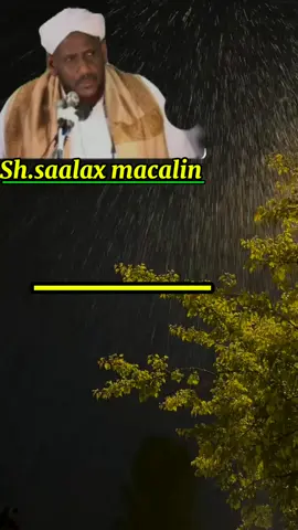 Sheekh saalax macalin  ninkii akhira rabo aduunyada manaashnaasho#greenscreen #🤲❤️❤️❤️👯‍♂️🤫 #greenscreen #🤲❤️❤️❤️👯‍♂️🤫 #greenscreen 