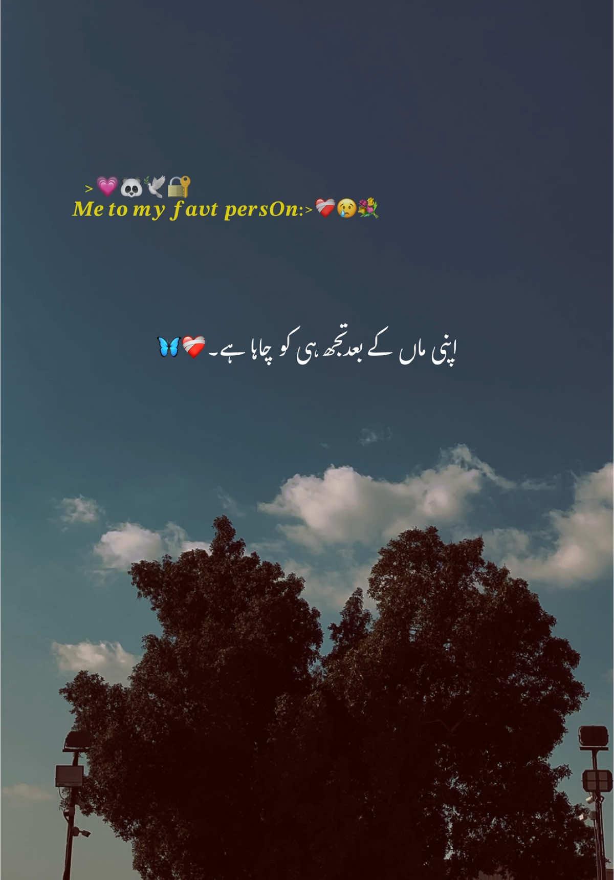 𝑹𝒆𝒑𝒐𝒔𝒕 𝒓𝒆𝒒𝒖𝒆𝒔𝒕 🥹❤️‍🩹🕊️🌸#hehe #fyp #video #urdupoetry #lines #growmyaccount #aesthetics #viral_video 