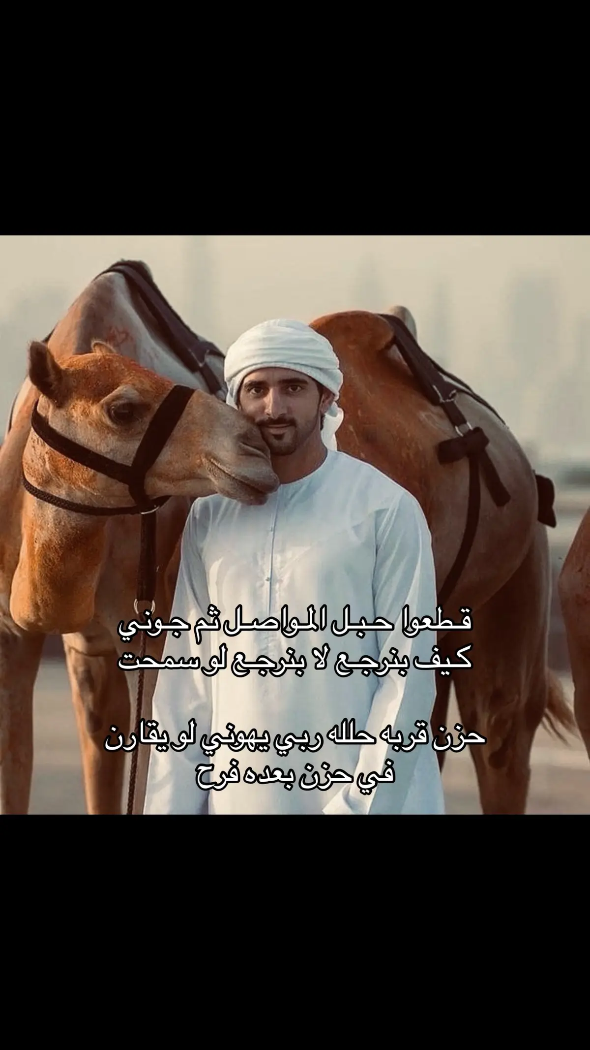 #hamdanbinmohammed #foryou #F3 