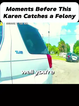 Moments Before This  Karen Catches a Felony #cops #copsoftiktok #police #fyp #viral_video #trendingvideo #foryour