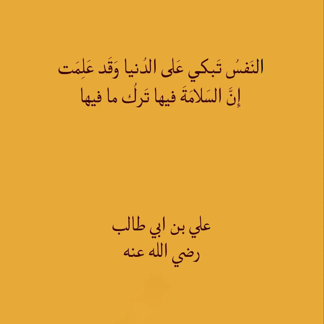 #شعر #قصيد #اللغة_العربية #بلاغه_العرب #دواوين #علي_بن_ابي_طالب 