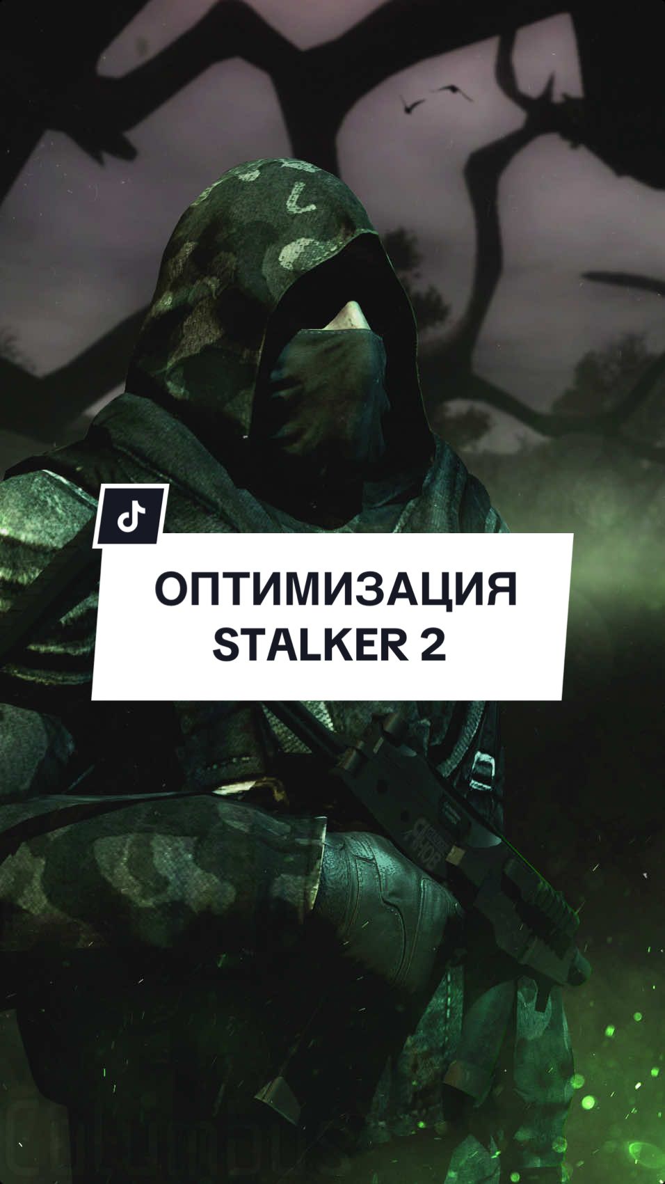 Как вы оптимизируете STALKER 2? #игровыеновости #gamenews #stalker #stalker2 