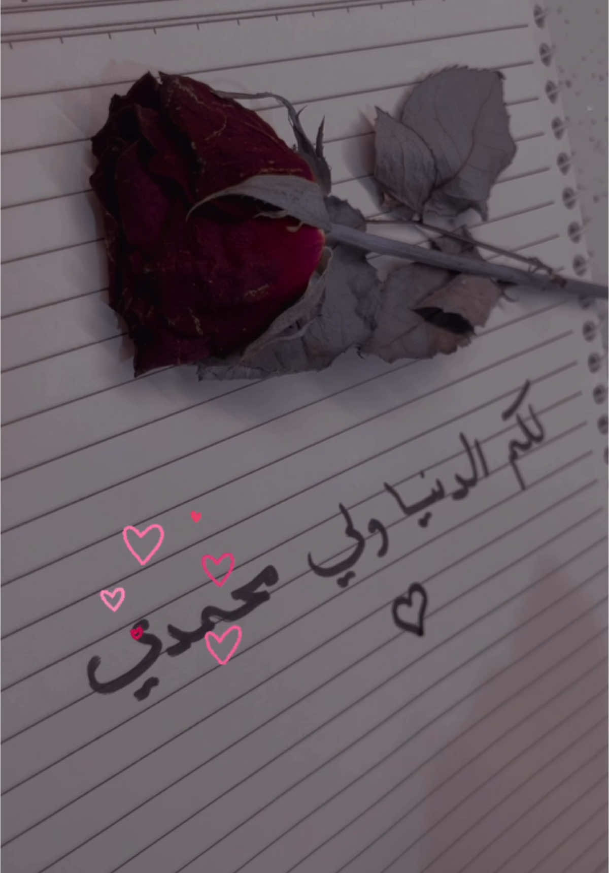 ♥️✨لكم الدنيا ولي ✨♥️ محمـدي 