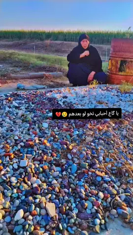 #محضور #عتابه_تبچي @شهاب السبعاوي  #نايل#حزين #ربابة_حزينة #الغربية#اهل_الغربيه #كركوك #الحويجة #الموصل#صلاح_الدين#بغداد#العرب #الجنوب #العراق #بغداد #الزمن_الجميل 