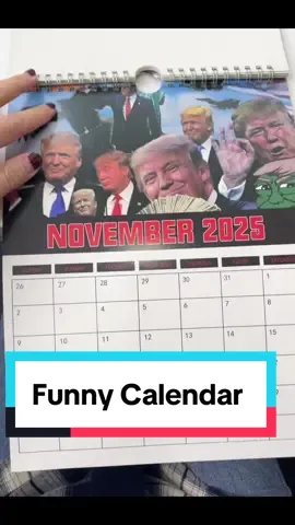 😜 it’s funny Christmas gift #tiktokshopblackfriday #tiktokshopcybermonday #fy #ymca #usa #maga 