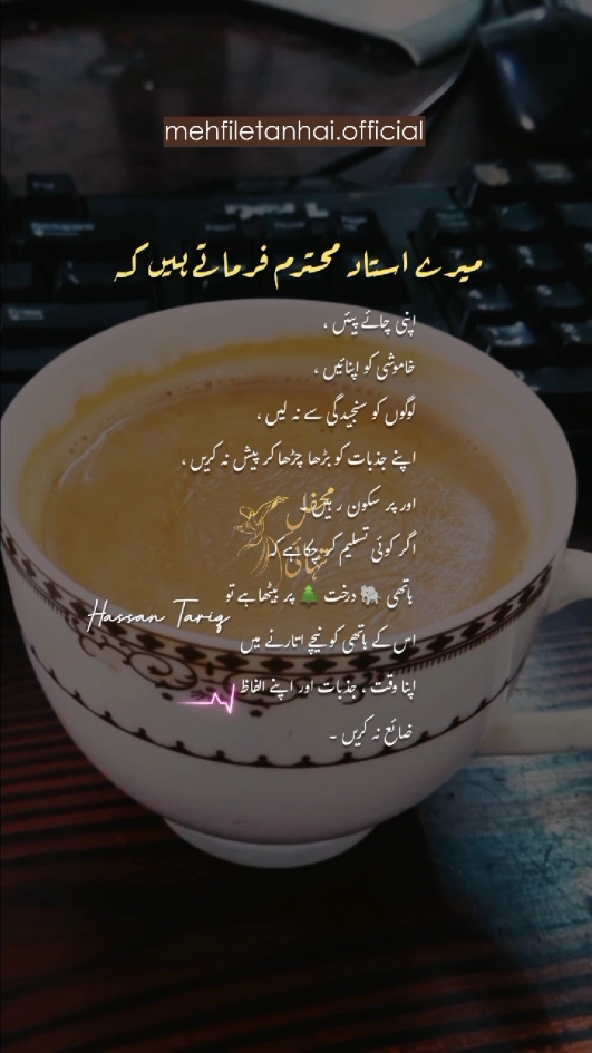 #sufi #foryou #deeplines💕😞 #shayari #mehfiletanhai #growmyaccount #foryoupage #alifmeem #trending #urdupoetry 