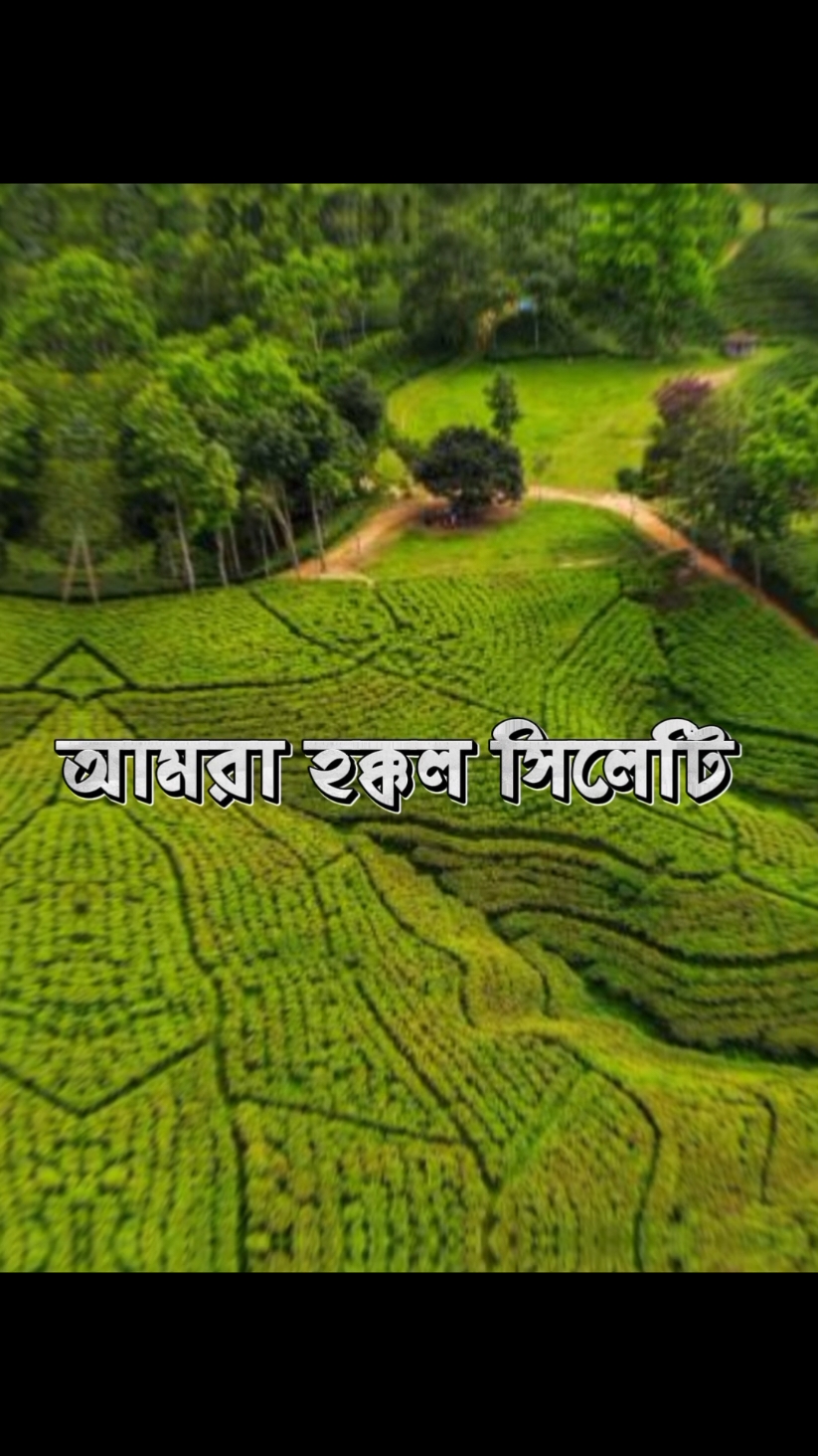 Let's know about Sylhet🍁@🍁RAHiD!! @💫💖_CrUsH_BoY💖💫 #bdtiktokofficial #tanvir_vai_08 #foryoupage #viral 