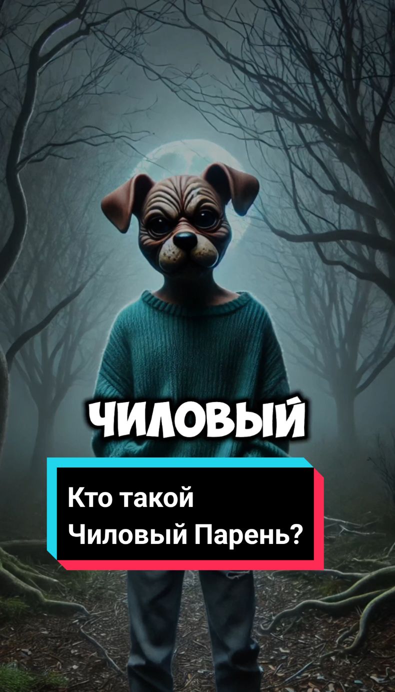 Кто такой Чиловый парень? #страшныеисториинаночь #страшныеистории #историинаночь #истории #врек #чиловыйпарень 