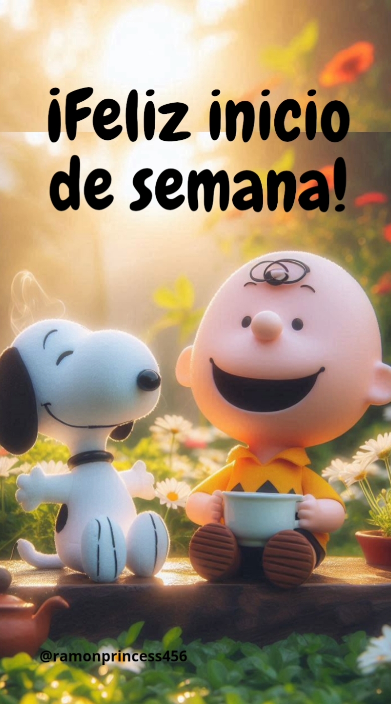 ¡Buenos días! #welcomebeginners71 #ramonprincess456