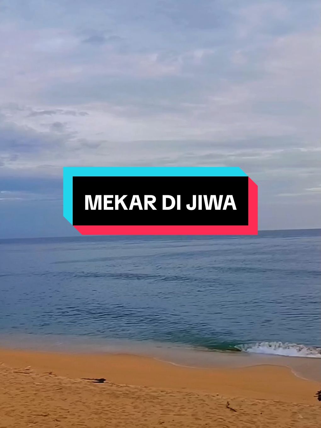 xray-mekar di jiwa #lagujiwang80an90an #lagumengamitkenangan #kenangan #jiwang #fyp 