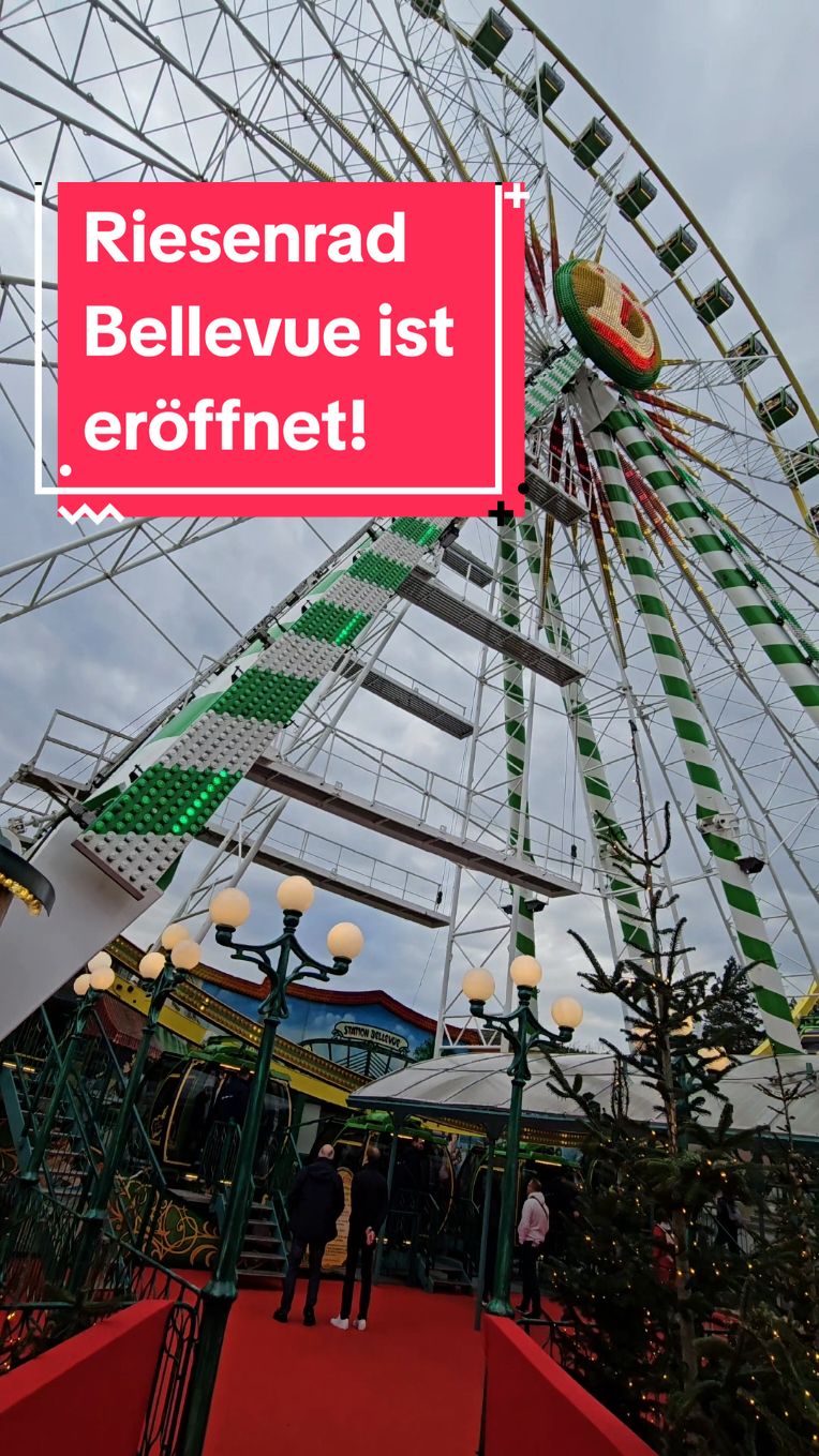 #EuropaPark #fyp #riesenrad 