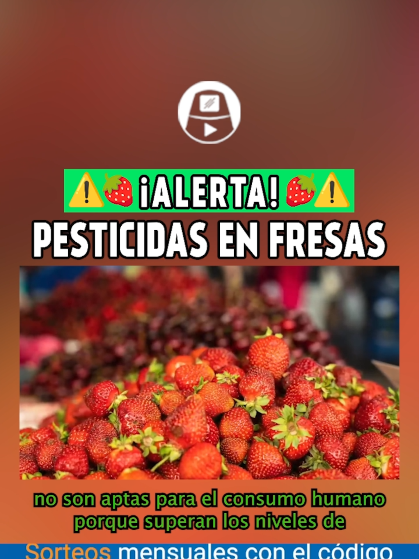 🚨 Encuentran pesticidas hasta TRECE veces por encima de lo permitido. #LaEncerrona #fresas #marcosifuentes #salud #noticiasperu #agroquimicos