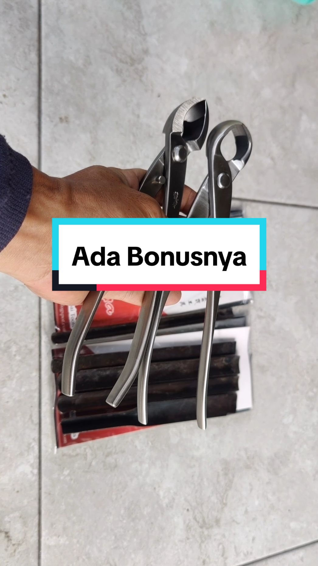 Catok/krekut bonsai miring cembung Ryuga. #catok #bonsai #ryuga 