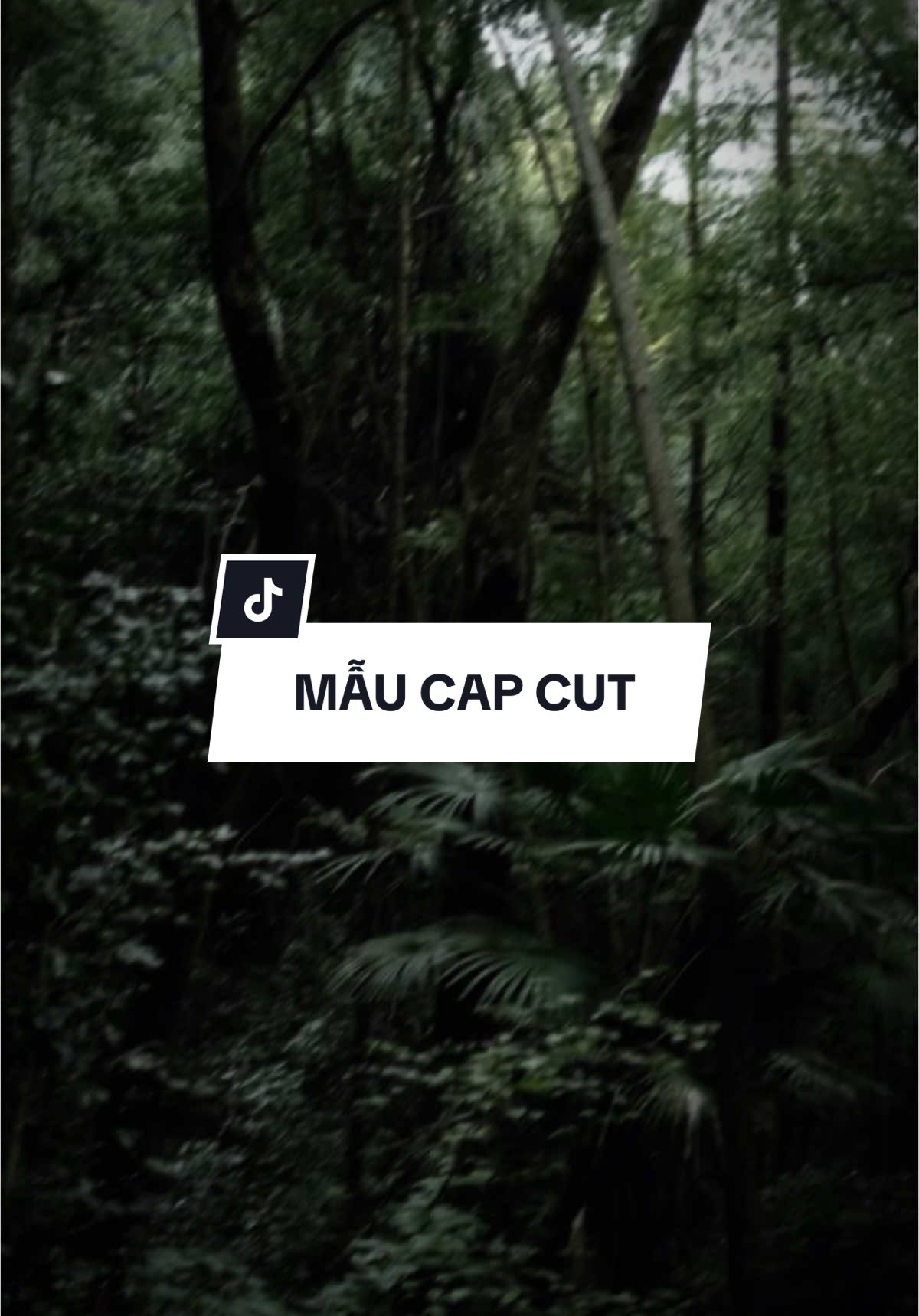 Anh vẫn luôn chờ người ở đó #mẫucapcut #edit #nhachaymoingay #lyrics #CapCut 