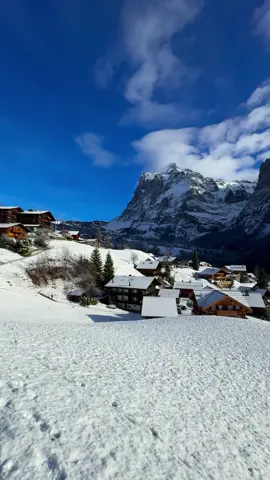 📍Grindelwald, Switzerland 🇨🇭 Follow for daily Swiss Content 🇨🇭 Want to know the exact location of this spot? 🗺️ Check the link in my bio! 🇨🇭🫶 📌 Save this for your trip to Switzerland 🇨🇭  🎥 by: @swisswoow  #berneroberland #switzerland #mountains #schweiz #swissalps #myswitzerland #nature #inlovewithswitzerland #Hiking #swiss #alps #wanderlust #visitswitzerland #travel #jungfrauregion #suisse #landscape #bern #thunersee #naturephotography #blickheimat #grindelwald #lauterbrunnen #interlaken #lake #switzerlandpictures #swissmountains #switzerlandwonderland #switzerland_vacations #photography