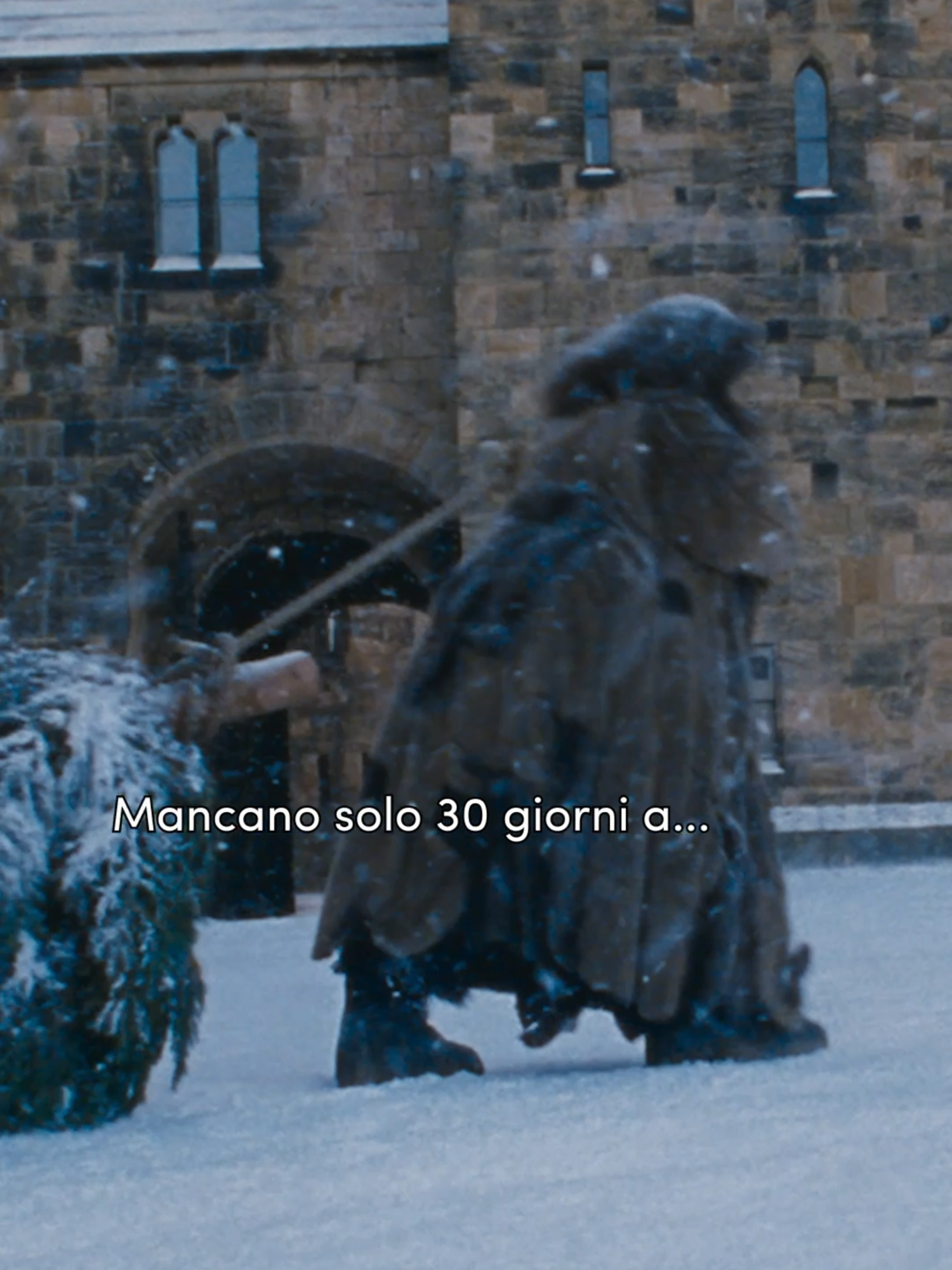 Stiamo già sognando un Natale ad Hogwarts. #harrypotter #hogwarts #natale #countdown #magia