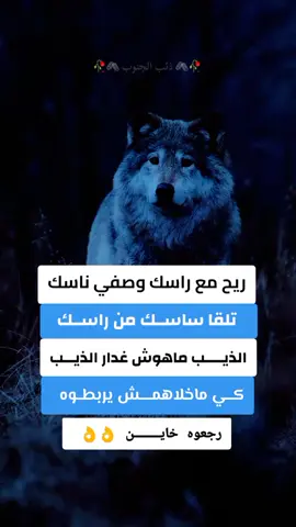 #ذئب_الجنوب🦅 