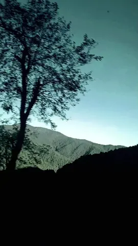 #CapCut #cafetacvba #ayamordivino #comotextrañomiamor #rock #paisajes #viajes #oaxaca #sierra  A veces pienso que tú nunca vendrás pero te quiero y te tengo que esperar.