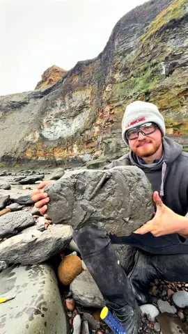 Exposing a perfect Jurassic Belemnite (Squid-like creature) which was in a large loose shale slab hidden within lots of beach pebbles 🦑🦑 This is the ‘Belemnite Guard’, which was the tough inner part of the belemnite 🏝 The soft tissue rarely preserved properly, however many great examples have been found in other parts of the world 🌎 Thank you in advance for supporting our page! 🐊 #natural #nature #fossil #fossils #ancient #animals #art #ammonite #ammonites #dinosaur #scientist  #minerals #paleontology #whitby #geologist #dorset #geology #charmouth #jurassic #yorkshire #fyp 