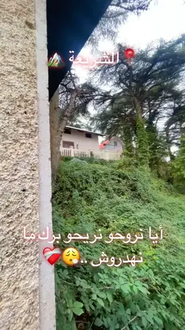 La détente 🫶🏻🤍🏔️ #chrea #chrea_blida09 #blida #blida09_tiktok_algérie❤️🇩🇿 #blida09🇩🇿 #fyp #foryou #foryoupage #الشعب_الصيني_ماله_حل😂😂 