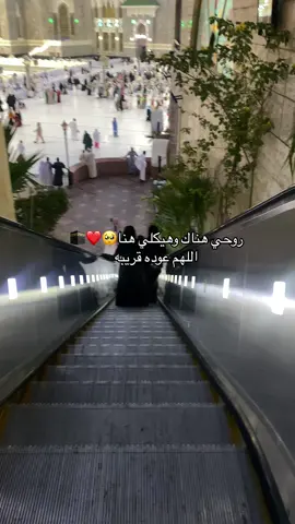 رزقكم الله زيارتها🕋❤️#مكه_المكرمه #السعودية #بنت_النشامى👑 #عمره #المدينه_المنوره #الحمدالله_علی_کل_حال❤ #عمرة_العشرينات🕊🕋 #fyp 
