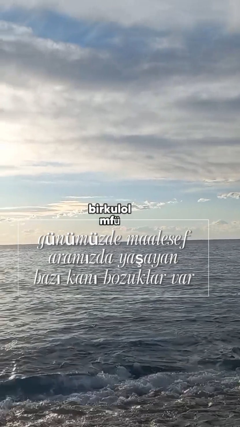 hiç utanma #mfü #birkulol #deniz #doğa #hikaye #görsel #🇦🇿 #şiir #anne #🇹🇷 #👍 #aşk #sevgi #baba #anam #anam #keşfet #insanlar #kardeş #anılar #dos