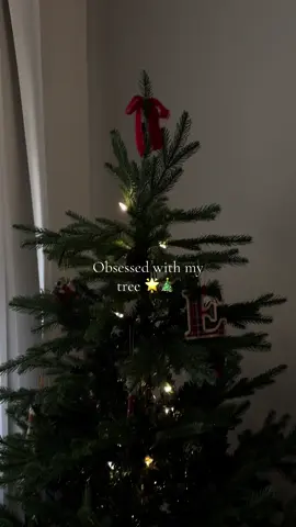 What theme are you doing for your tree this year? I love adding new stuff to our little collection each year ❤️ #christmas #teamwork #fyp #tt #trending #trendingvideo #momtok #sahm #MomsofTikTok #Vlog #dayinmylife #viralvideo #winter #itstime 