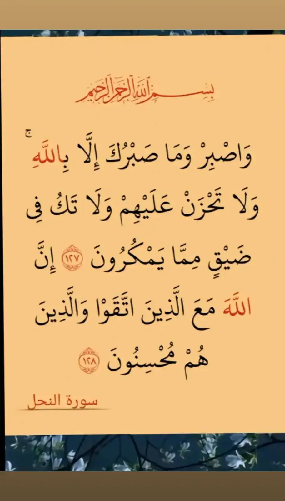 #القرآن_الكريم #راحة_نفسية fouryoupage #foryou #fyp# #دعاء #أدعية #دعاء_مستجاب #أدعية_مأثورة #أدعية_قرآنية #أدعية_نبوية #دعاء_الصباح #دعاء_المساء #دعاء #قرآن #القرآن_الكريم #آيات_قرآنية #تلاوة_قرآن #سورة_قرآن #تفسير_قرآن #قرآن_كريم #قراءة_قرآن#أحاديث_نبوية #حديث_شريف #سنة_نبوية #أحاديث_الرسول #أحاديث_صحيحة #أحاديث_قدسية #أحاديث_نبينا #أحاديث_النبوة#القرآن_الكريم_راحه_نفسية . #اللهم_لك_الحمد_ولك_الشكر #قرآن_كريم_ارح_سمعك وقلبك #اللهم_صل_وسلم_على_نبينا_محمد #اللهم_صلي_على_نبينا_محمد #صلوا_على_رسول_الله #يارب #ياالله #القرآن #قرآن #قرآن_کریم #القرآن_الكريم #لا_اله_الا_الله #لا_اله_الا_الله