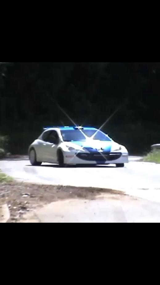 Oceana - Endless Summer #peugeot #207 #s2000 #peugeot207 #peugeotsport #rally #cars #fyp #fy 