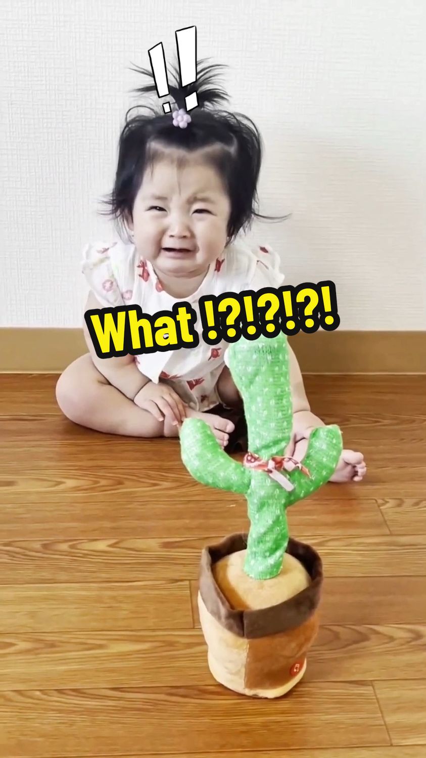 Funny baby vs cactus toy 🧸🤣#baby #babylove #babytiktok #babytok #funnybaby #babies #cactus #fyp #creatorsearchinsights 