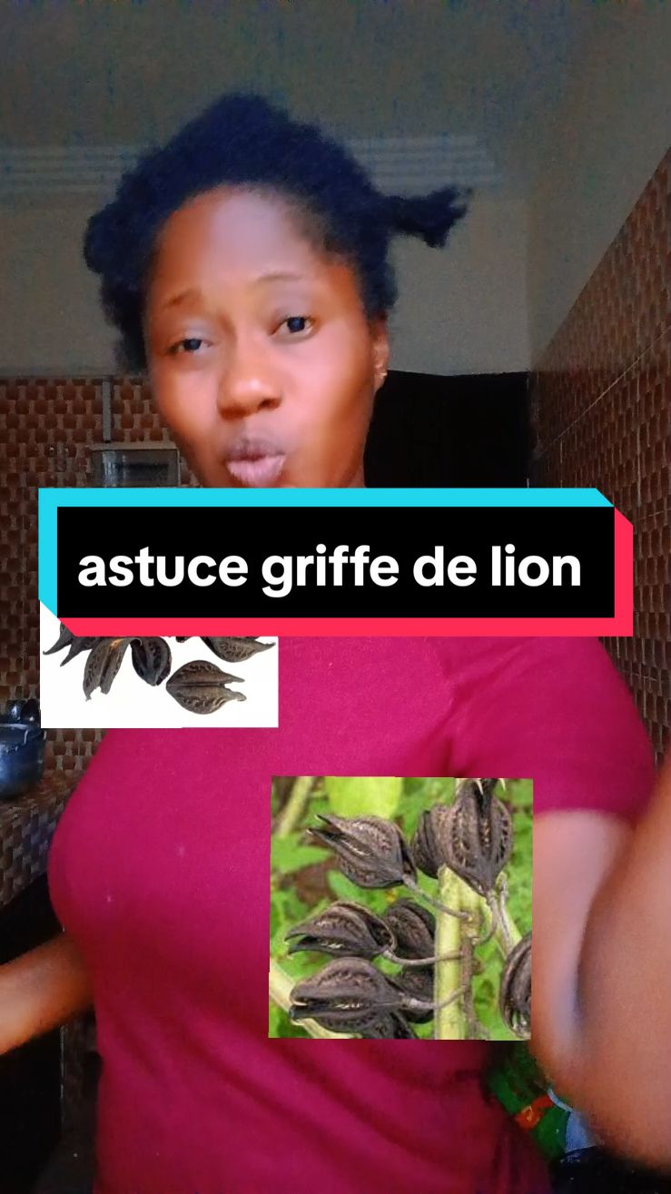 astuce griffe de lion #astuce #sante #conseil 