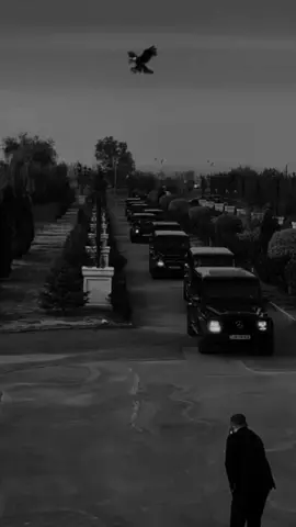 MAFIA ⚜️👑 #MAFIA #سيارات #usa🇺🇸 #مشاهدات_تيك_توك #الشعب_الصيني_ماله_حل😂😂 #CapCut   
