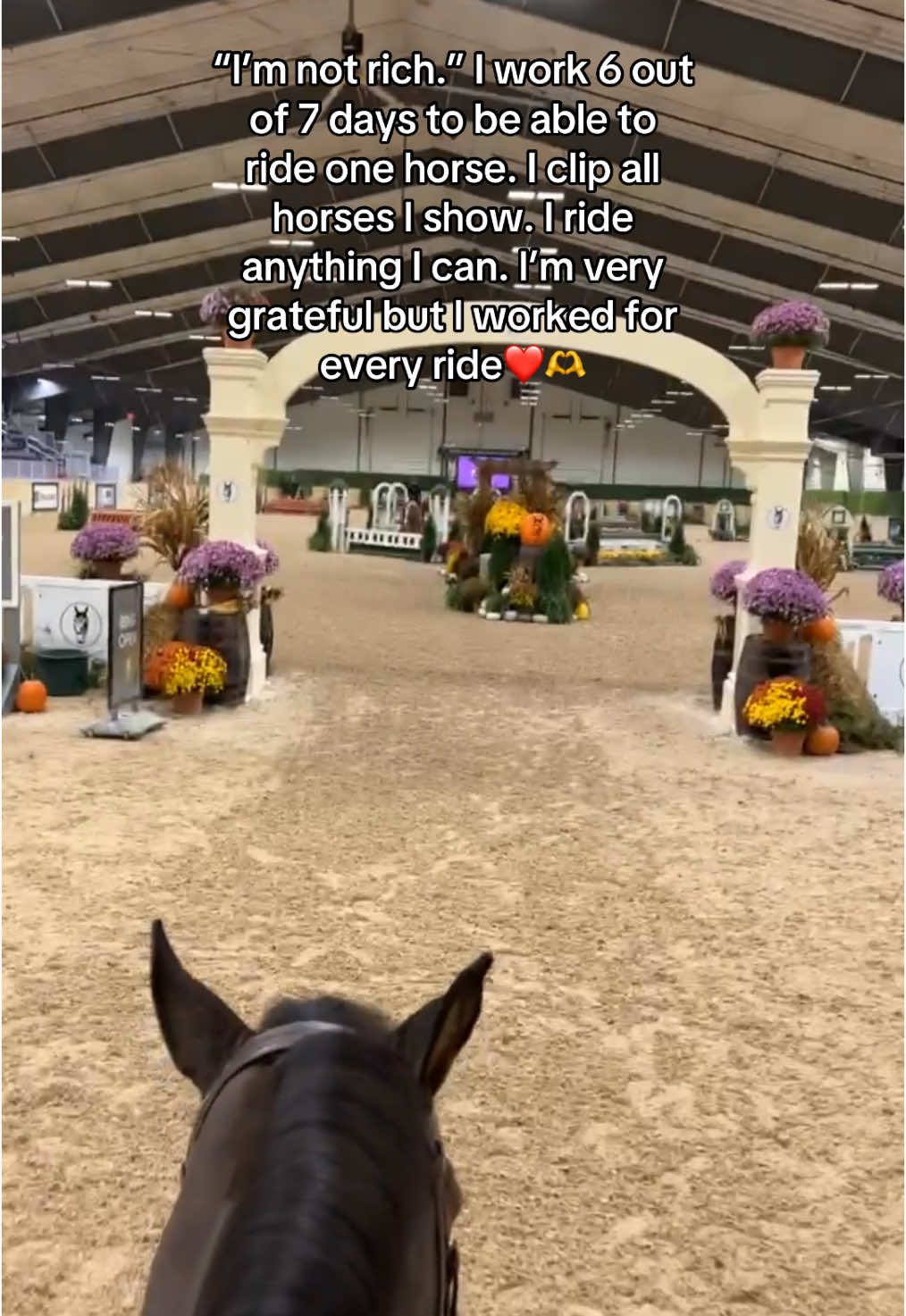 working student addition ❤️❤️ #workingstudent #working #horsesoftiktok #warmbloods #showing #trainers #dream #professionals #showjumpersoftiktok #livelikeabillionaire #billion 