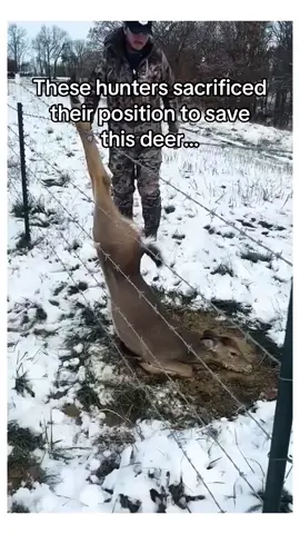 #deerhunting 