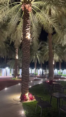 #اكسبلور #جادة النخيل#القصيم #عنيزه_القصيم 