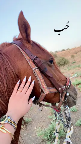 #horse #horseriding #حصان #حصاني #خيل #خيل_وخياله🐎 #viral #explore #اكسبلور #اكسبلورexplore #دهوك 