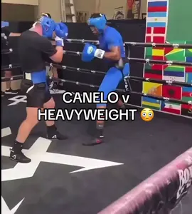 That hook was attempted murder 💀 (h/t boxing.topic/IG) #canelo #sparring #boxing 