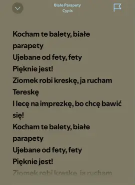 Biale Parapety - Cypis #spotify #cypis #viralvideos #fyp 