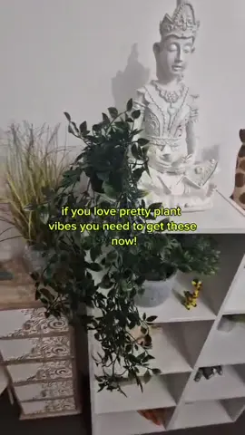 The home accessory you need ✨ #blackfriday #christmasgiftideas #thanksgiving #fyp #homedecor #shop #homedecorideas #accessories #decor #decoration #plants #plantsoftiktok #fakeplants #tiktokshop 