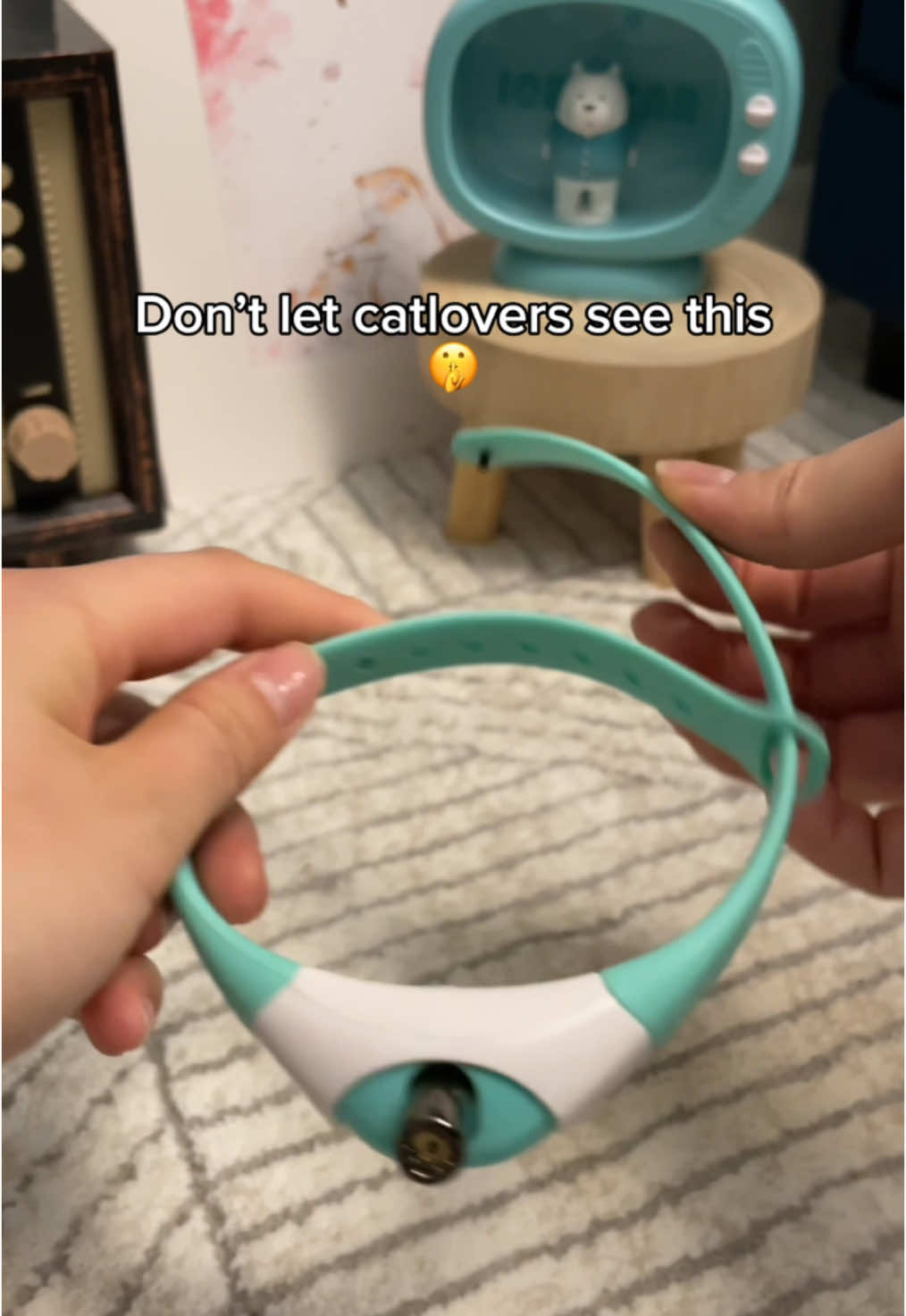The best cat toy to exist! 🐾✨❤️ #viral #fypシ #cattoy 