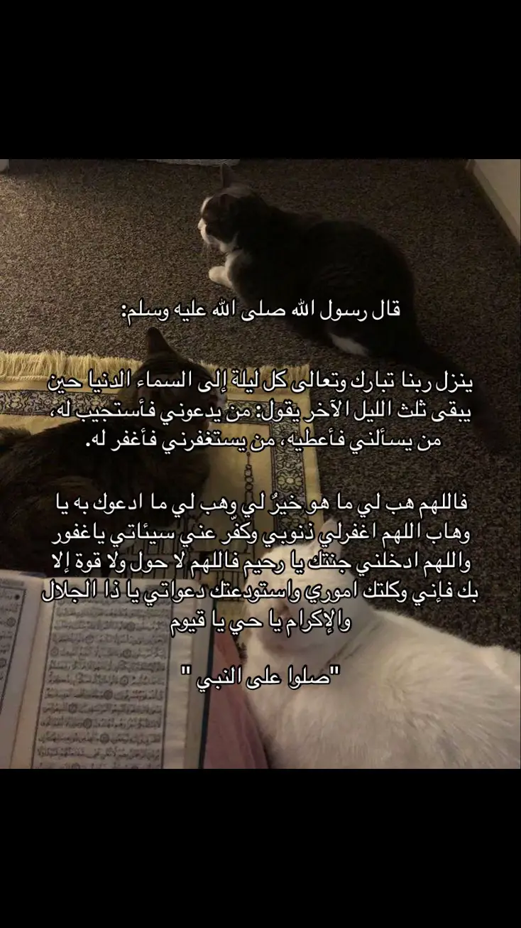 #foryou #quran #fyp #اذكار 