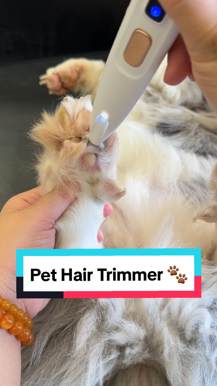 Pet Hair Trimmer 🐾 #pawcare #paw #dogs #dogproducts #dogsoftiktoks