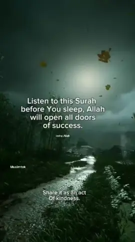Surah mulk #islam #surahalmulk #quranrecitation #fyp #islamic_video #muslimtok #muftimenk #viral 