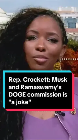 Rep. Jasmine Crockett reacts to President-elect Donald Trump’s announcement that Elon Musk and Vivek Ramaswamy will head a new 