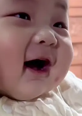 #babybear #cutebabyvideos #baby 