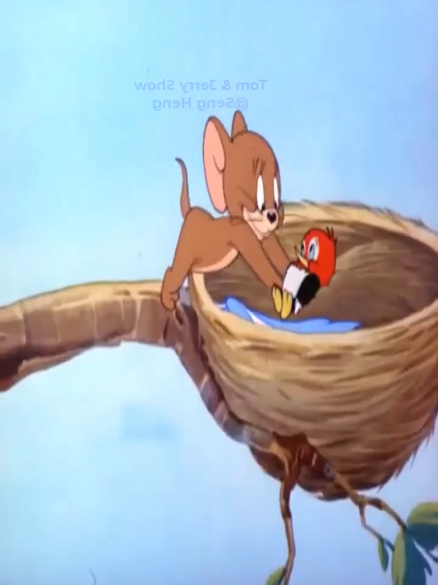 tom&jerry #nostalgia #cartoon #nostalgic #fyyyyyyyyyyyyyyyy #animation #fyppp #fyp #foryoupage❤️❤️ #viral_video #cartoonnetwork #funnytiktok #movie #edit #f #classiccartoons #tomandjerry